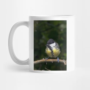 LE PANASONIC FZ 200 PAR OKAIO CRÉATION Mug